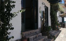 Cactus Living